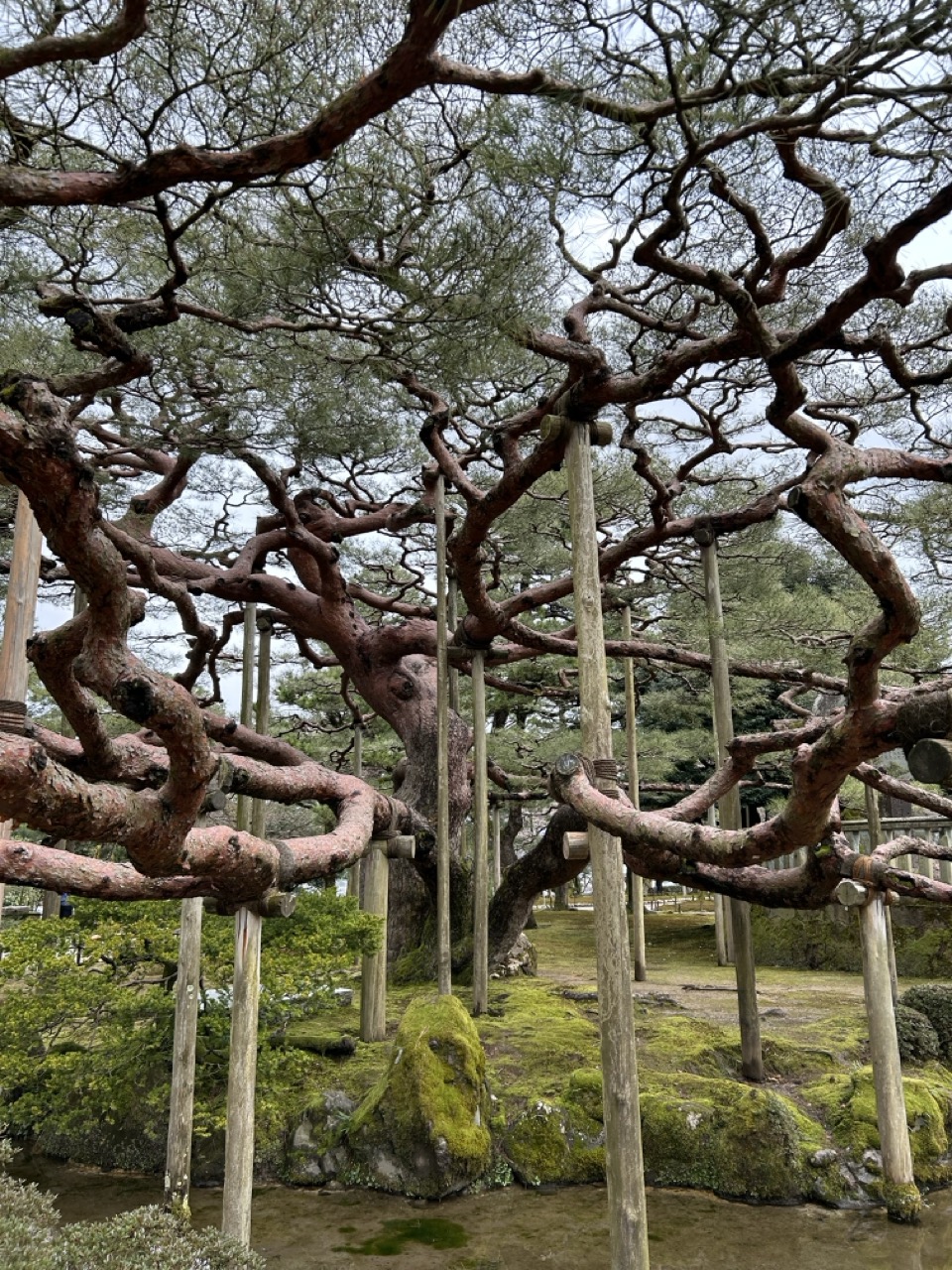 What to Do in Kanazawa: A 2-Day Itinerary for Food & History