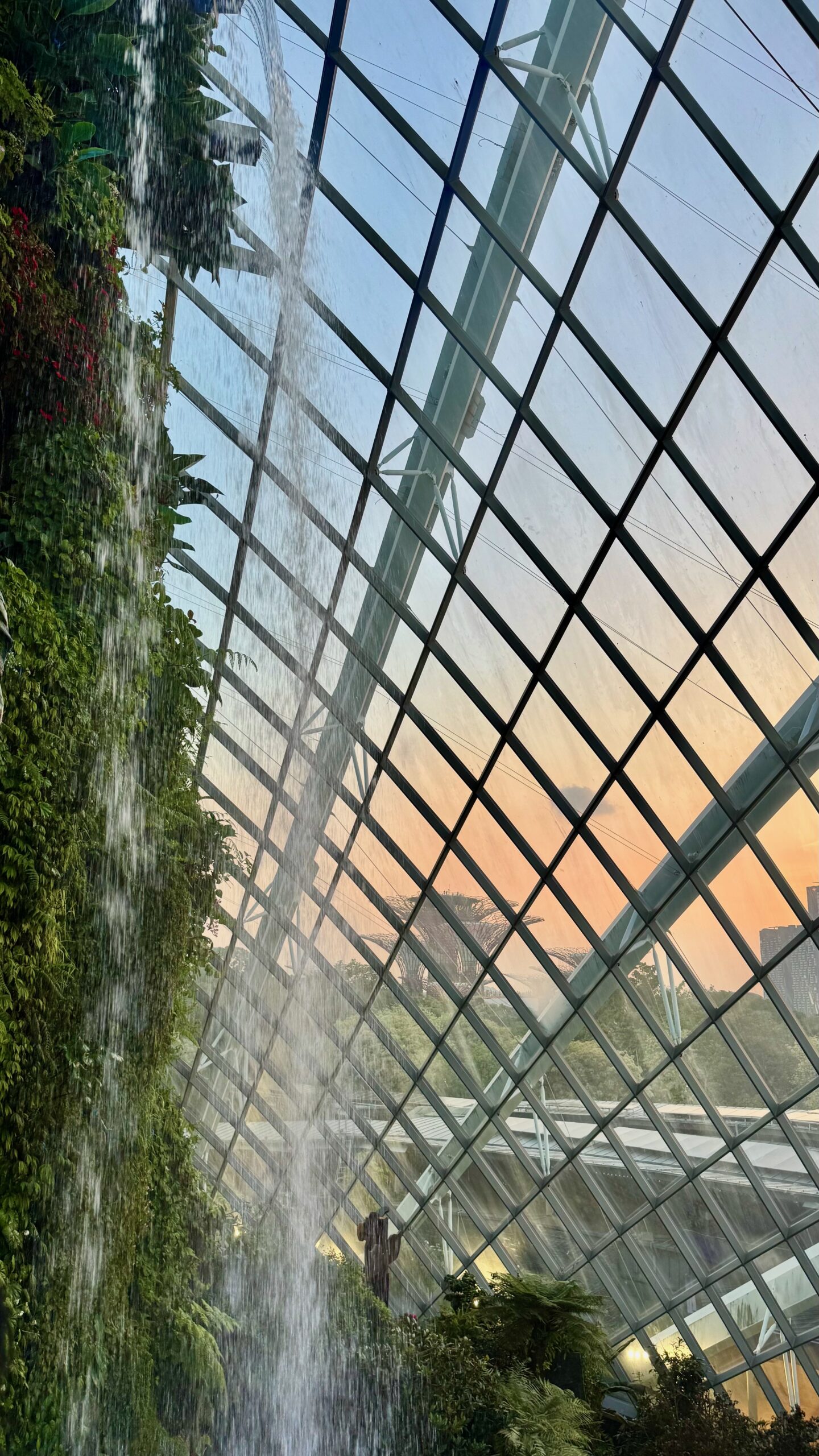 Inside the Cloud Forest conservatory at Gardens by the Bay