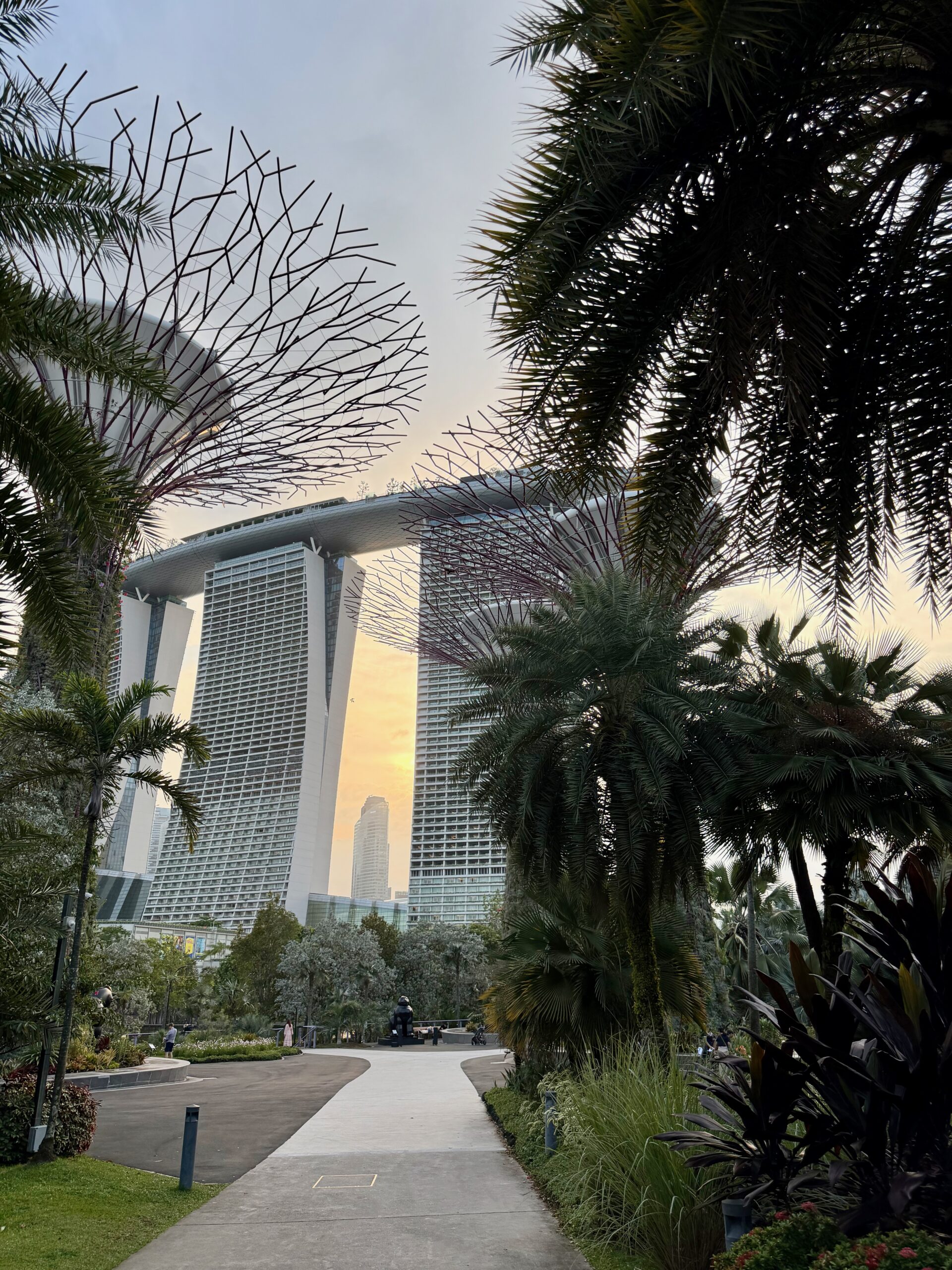 Gardens by the Bay and the Supertree grove in Singapore