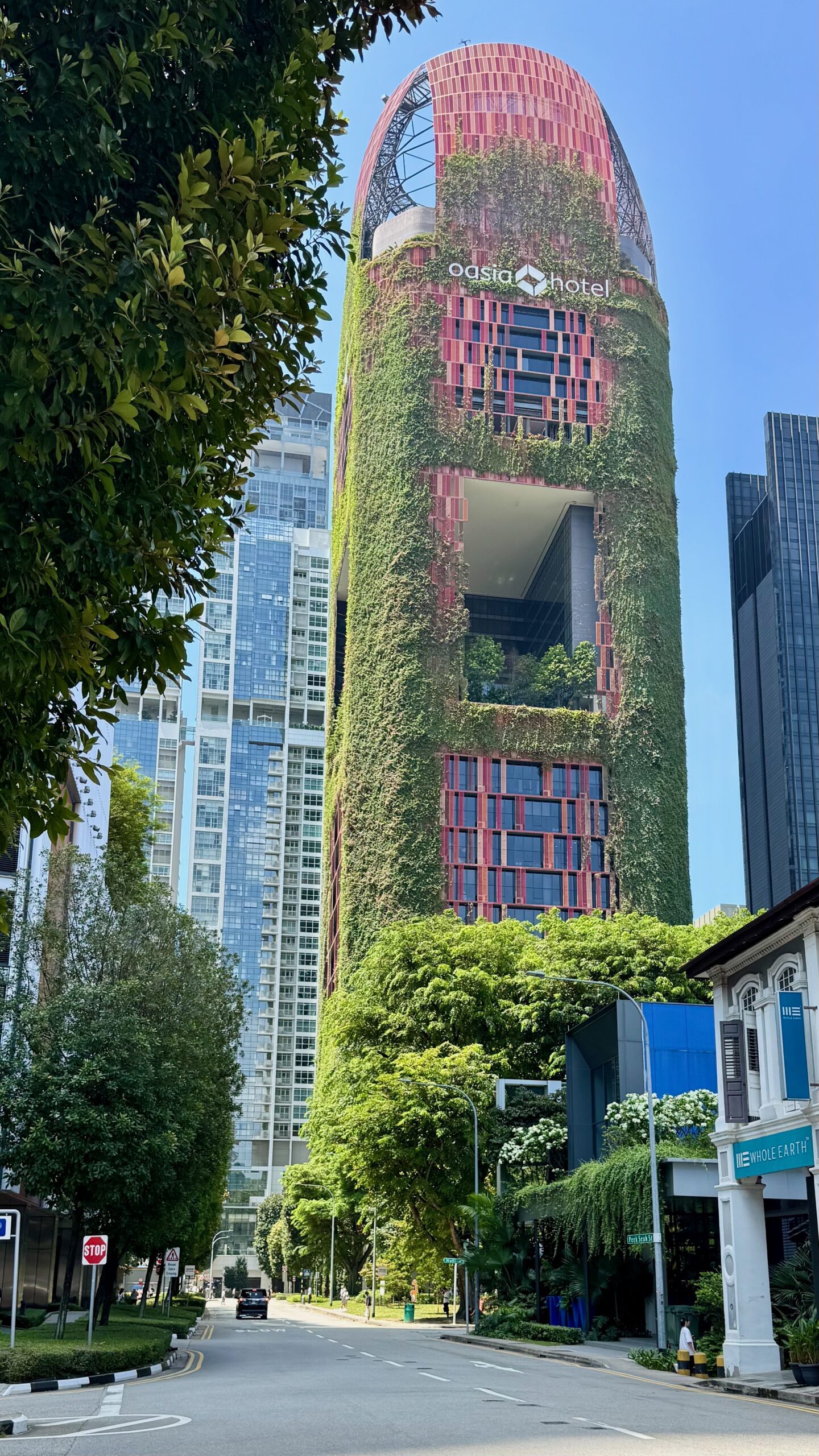 The Singapore skyline above the greenery of Marina Bay