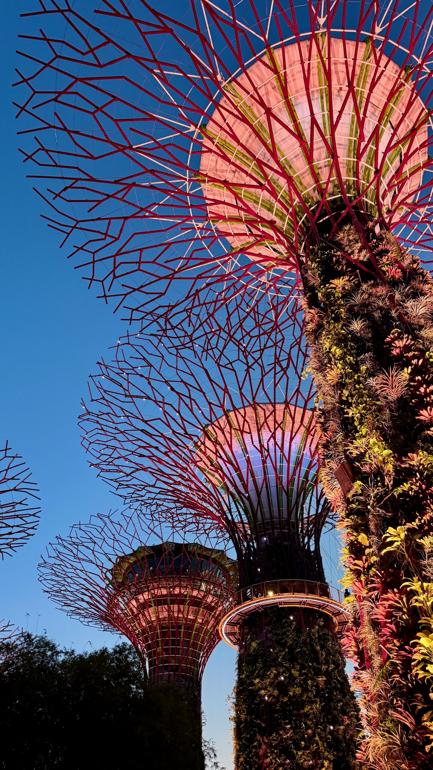 View from the Supertree grove at Gardens by the Bay