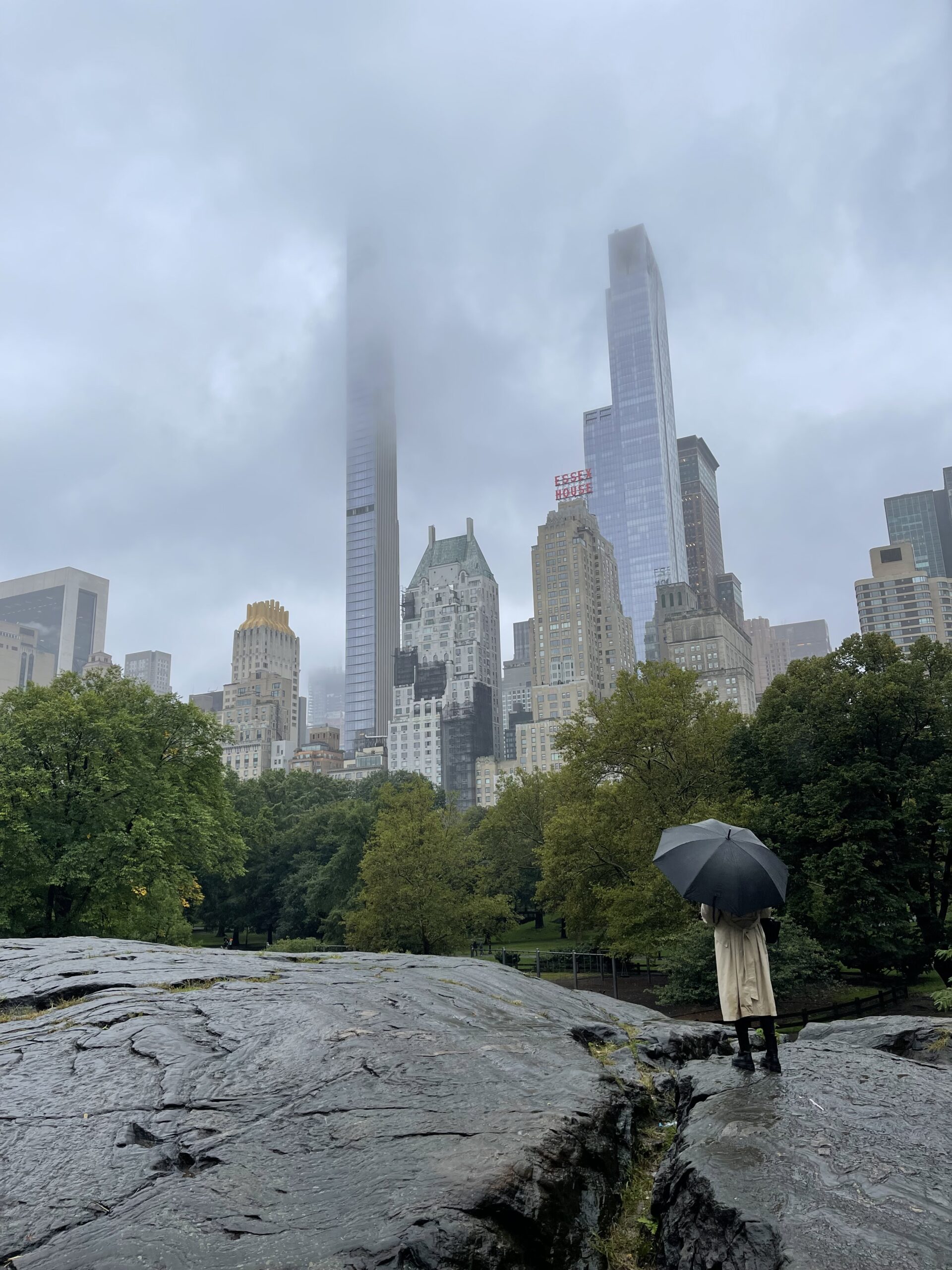 Rainy Central Park view toward Midtown skyscrapers, with a person holding an umbrella.
