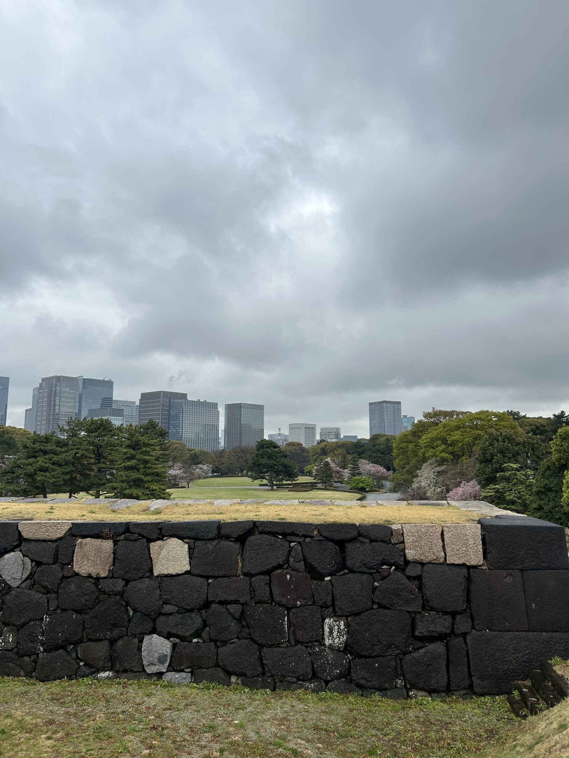 The Imperial Palace stone wall in Tokyo with Marunouchi office towers and cherry blossom behind it.