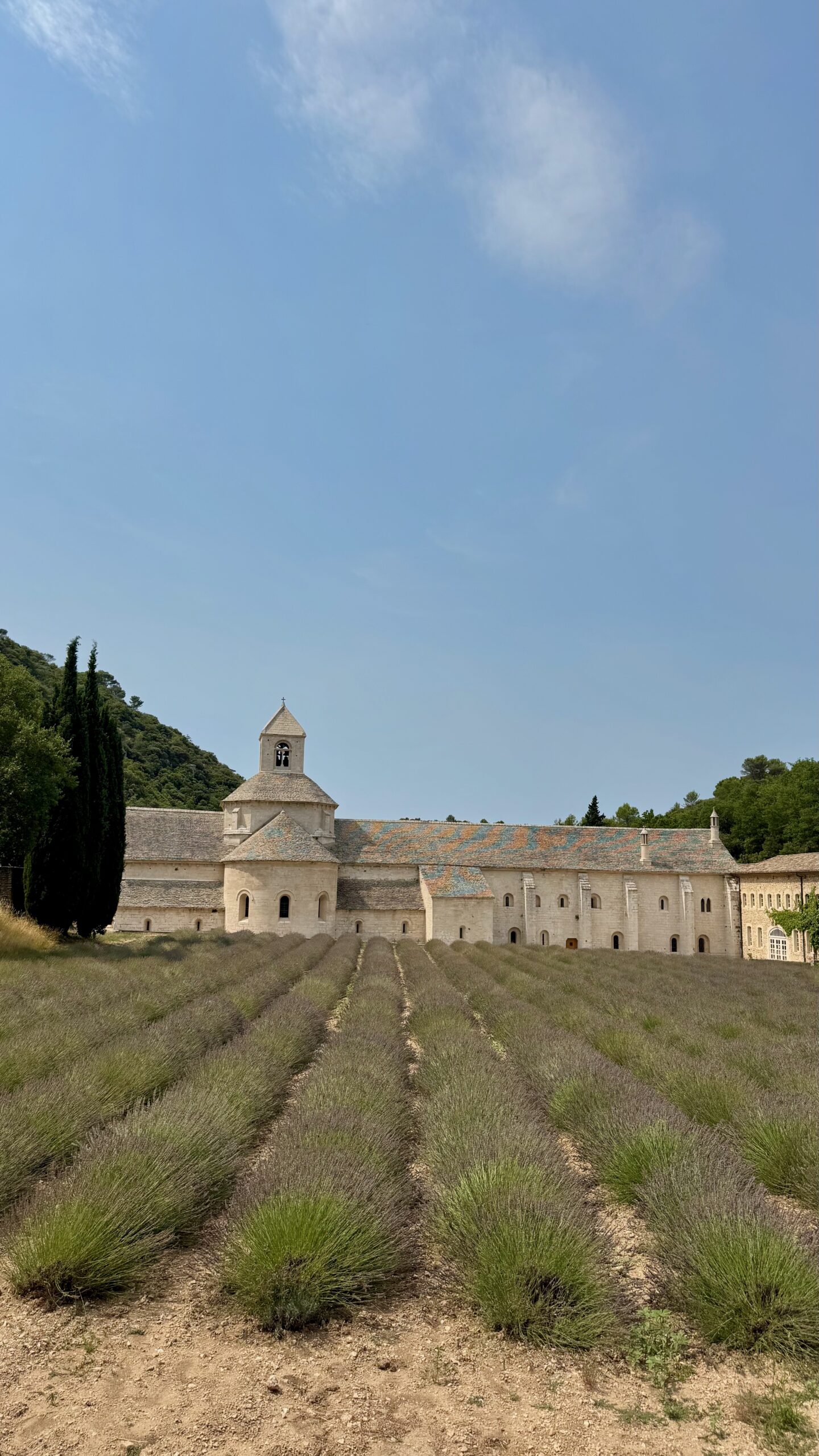 Abbaye Notre-Dame de Sénanque with lavender in front of the abbey