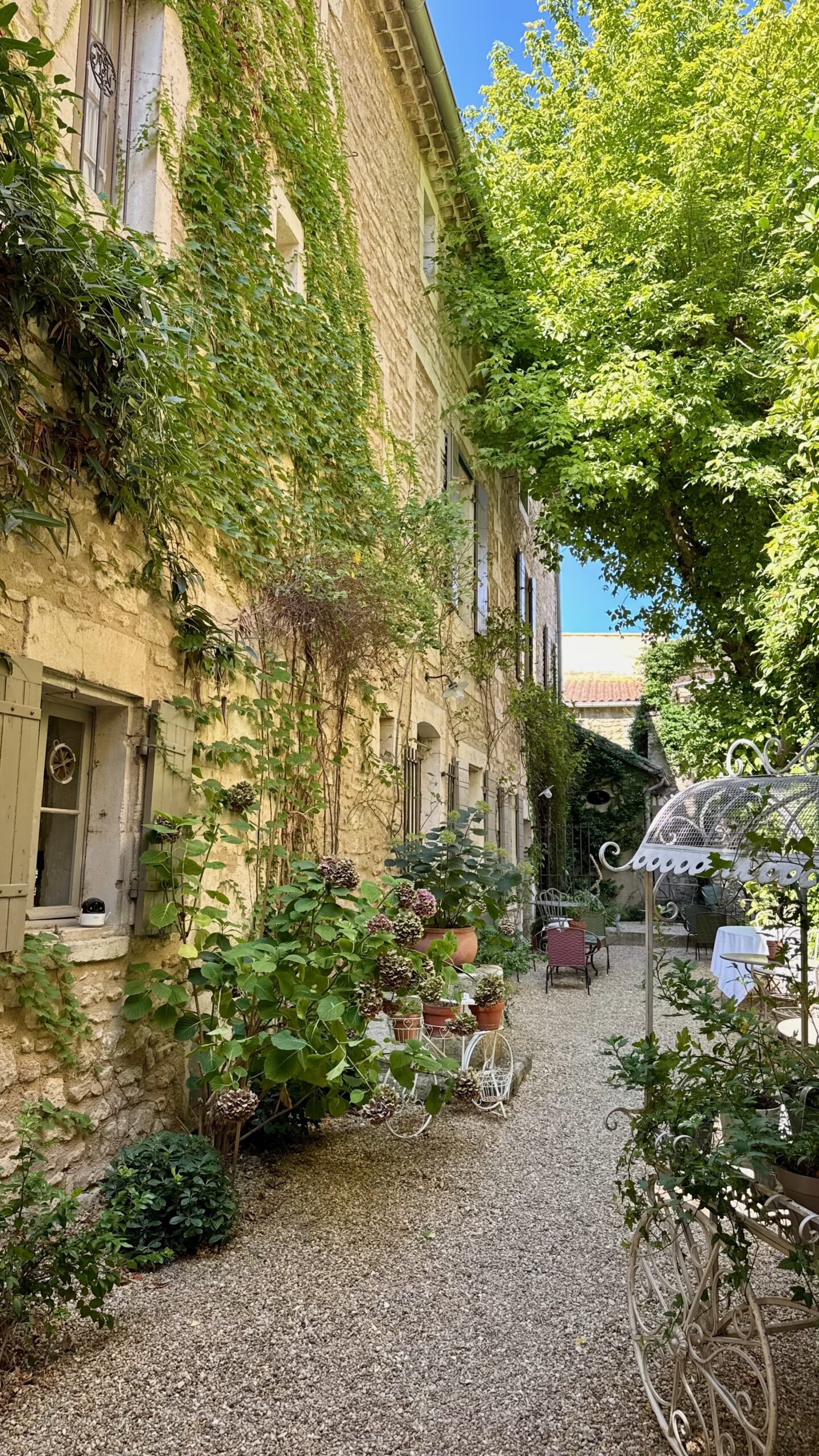 A street in the old centre of Saint-Rémy-de-Provence