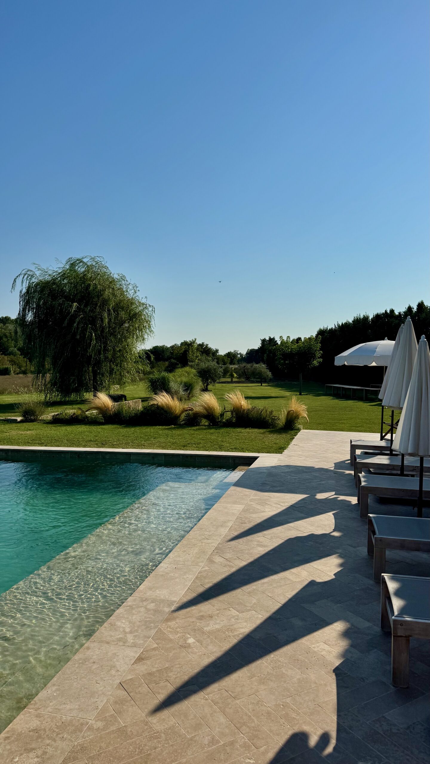 The pool at Terres Élaïs